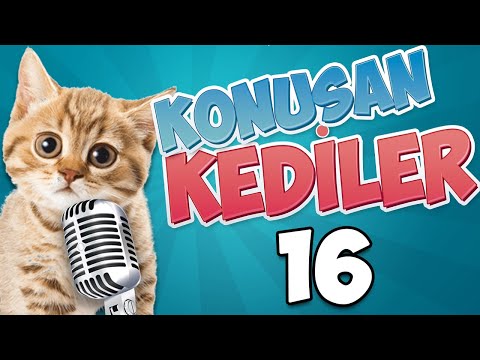 😹KONUŞAN KEDİLER 12 - EN KOMİK KONUŞAN KEDİLER 😹