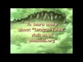 Pbskids Org Connecticut Pubic