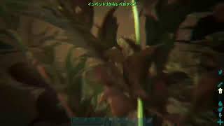 ARK アーティファクト集め　[ゲーム落ち可能性大]