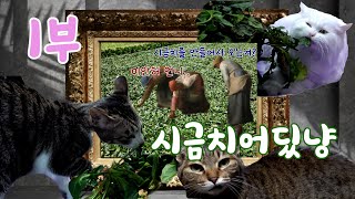 [나는농부다 336회 1부] 뽀빠이 누리 씨의 알콩당콩 시금치 사랑