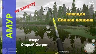 Ловля амура на озере ст острог