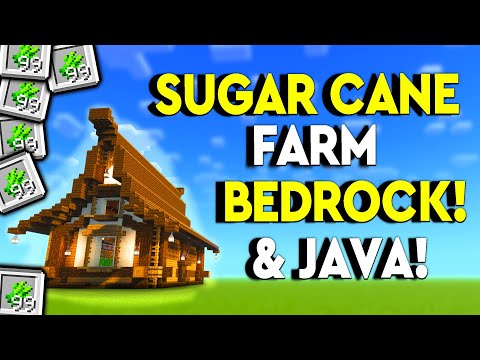 BEST EASY Sugar Cane Farm Minecraft Tutorial! - Java & Bedrock - MCPE!