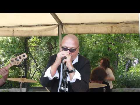 Könich Kallen Syndrom - Blur-Song 2 - Cover L!VE @ Faselbusch Düsseldorf