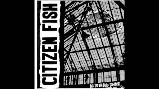 Citizen Fish - Charity