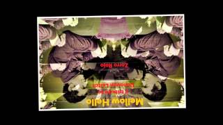 Zorro Rojo - Nirvana (Tributo a Donovan Leitch)