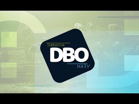 , title : 'AO VIVO - DBO na TV quarta-feira, 24/01/2024'