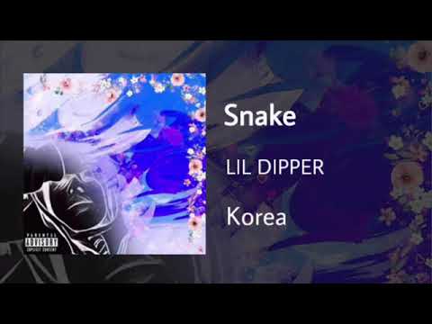 Snake - LIL DIPPER
