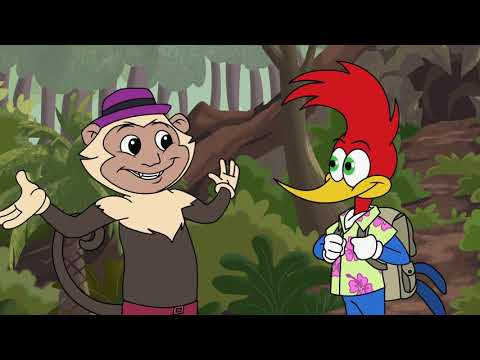 Woody Woodpecker en Français | 109 La quête du jaguar de jade | NOUVELLE Série | Dessin Animé