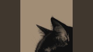 Cover art for Terrified
