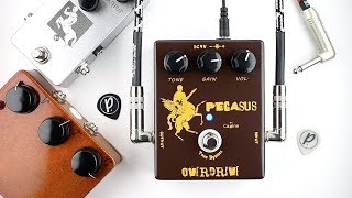 Video thumbnail for Caline CP-43 Pegasus Overdrive by Pedal of the Day