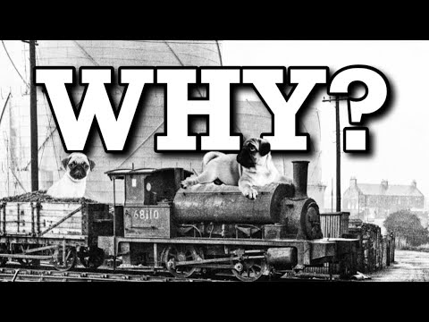 Why are Pugs called Pugs? An Explanation & History:  Enthralling Engines #8