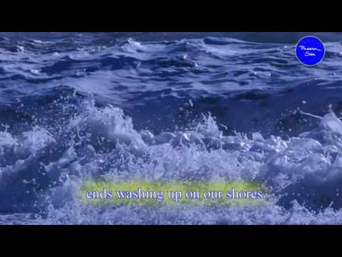 PASSION SEA – Nuovo video di Presentazione