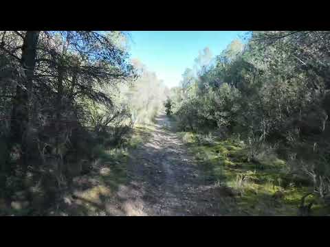 Caminho Divertido