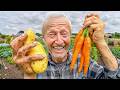June No Dig Garden Tour Harvests New Plantings Growth