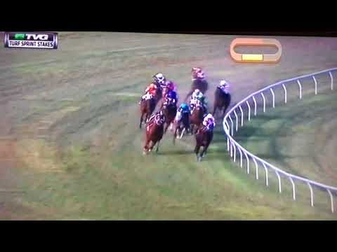 TURF SPRINT (G STAKES) 1/27/18 - RAINBOW HEIR !!!