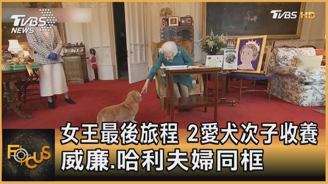 女王最後旅程 2愛犬次子收養 威廉.哈利夫婦同框