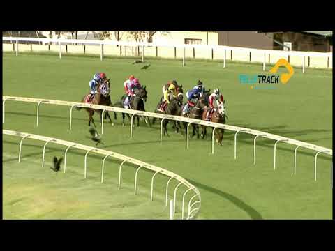 Got The Greenlight  -  4Racing Premier`s Champions Challenge (HD Version)