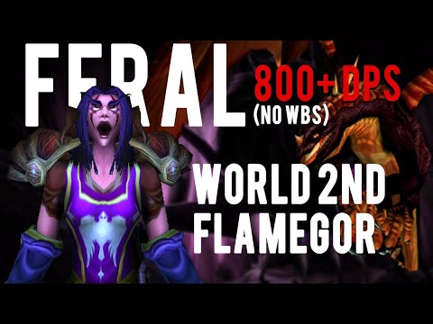800+ DPS Feral Druid (NO WBS) - World 2nd Flamegor | WoW Classic