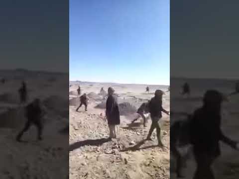 شاهد فرار قطاع الطرق بعد تدخل الجيش المغربي