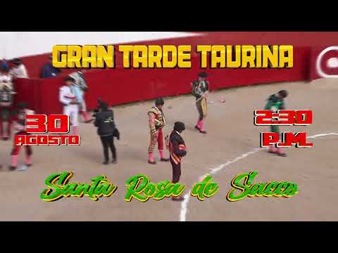 📅 24/08/2025 🏆 Copa Perú – Etapa Departamental⚽ Juventud Pomacicha 1 🆚 1 San Antonio