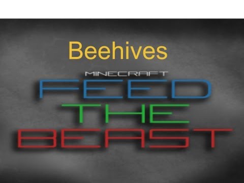 How To Feed The Beast: Beehives