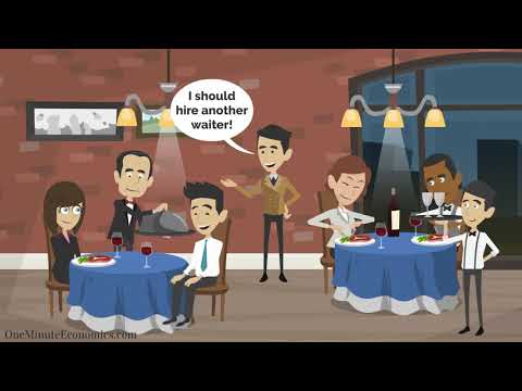 The Law (or Principle) Of Diminishing Marginal Returns (or Productivity) Explained in One Minute