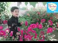 Nanhe Se Kadam Leke Song Happy Teacher Day Teacher Day Song