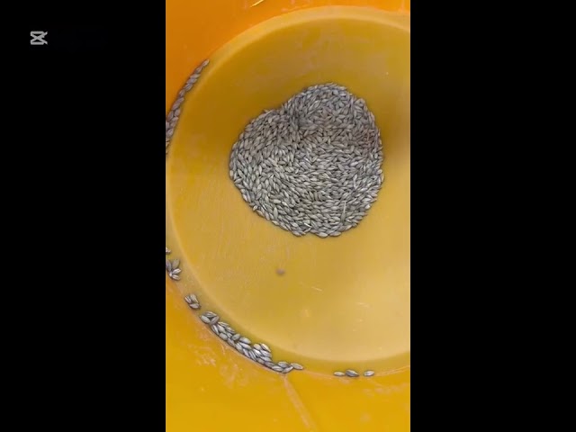 طاحونة حبوب 60 لتر