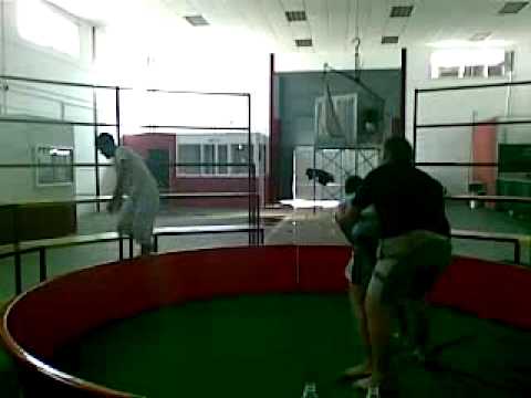 GALLOS:BLAS VS MANUEL