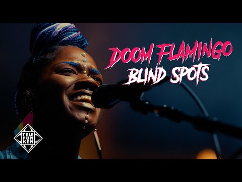 Doom Flamingo - "Blind Spots" TELEFUNKEN Live From The Lab