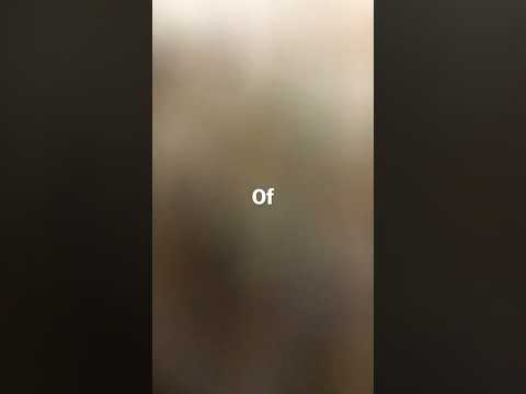 What a name: lady Lynn orangejuiceton of mountainshire🤪