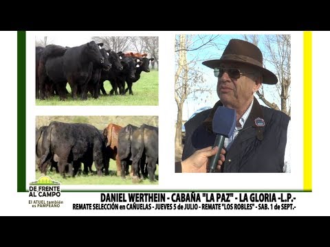 DE FRENTE AL CAMPO junto a CABAÑA "LA PAZ" de WERTHEIN-  DANIEL WERTHEIN
