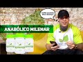 TRIBULUS TERRESTRIS FUNCIONA? AUMENTAR TESTOSTERONA E LIBIDO | LÉO STRONDA