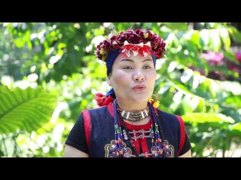 歌謠篇 - 中排灣語 02sisuqarepurepus 除霧之歌《傳唱篇》
