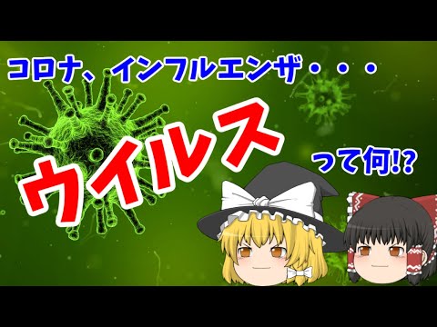 デイノコッカス・ラジオデュランスという細菌