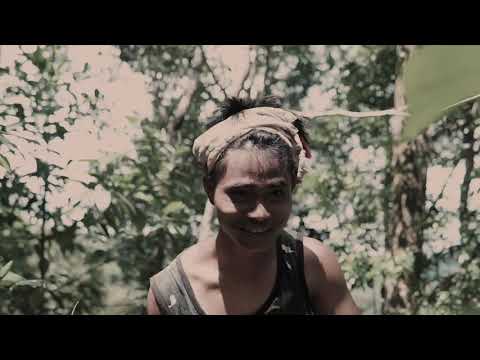 VAIPA THLAHRANG TRAILER