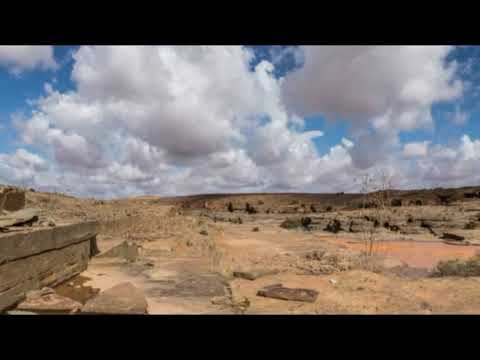 Dj Ellex - Tatuagem (mixed)