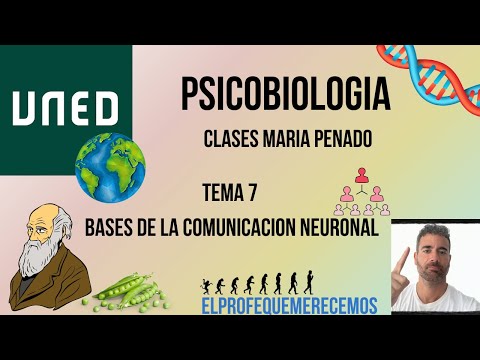 Psicobiologia UNED: TEMA 7 (Maria Penado)