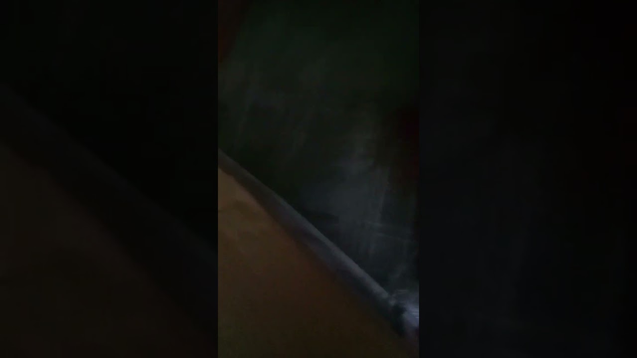 Meesho reviews: Order return complaint | PissedConsumer.com