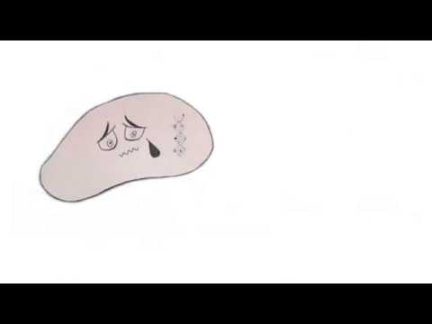 Crispr Breakthrough Junior Challenge Video Khan Academy