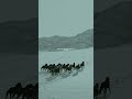Mask Off (Orchestra Version) - Future, Prod.metro Boomin (Lyrics) 4k