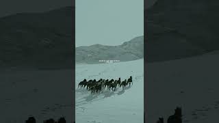 Mask Off (Orchestra Version) - Future, Prod.metro Boomin (Lyrics) 4k