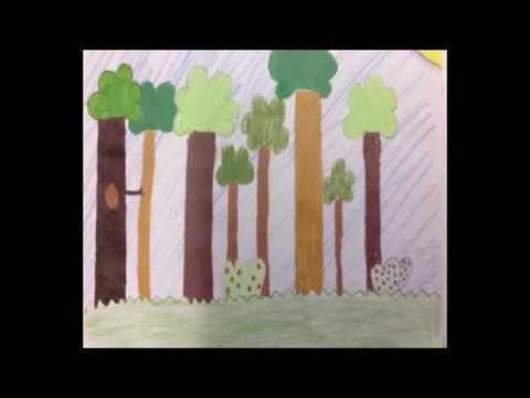 EM BUSCA DO ARCO IRIS