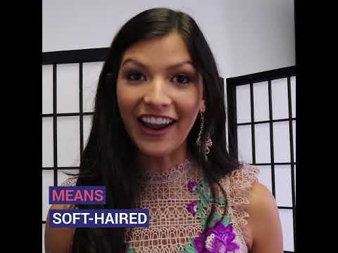 Meaning Behind "Sophia Dominguez-Heithoff"