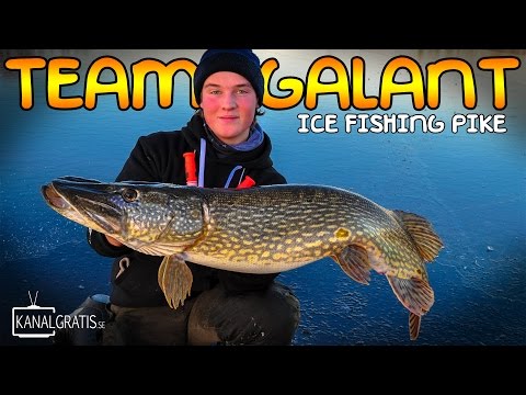 Big Pike on the Ice | Team Galant