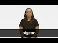 How to pronounce PIGEON in French