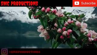 Download lagu Deen assalam - sabyan gambus, cover video lyric mp3