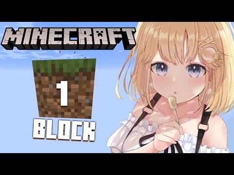 【Minecraft】1 BLOCK 1 AME