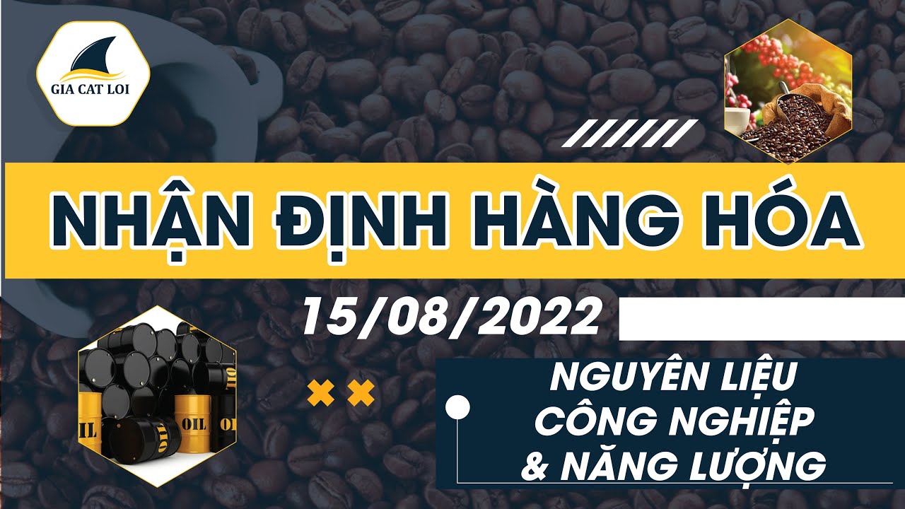 Nhận Định Thị Trường Năng Lượng & Nguyên Liệu Công Nghiệp Ngày 15/08/2022