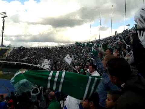 Avellino-livorno gireremo tutto lo stivale